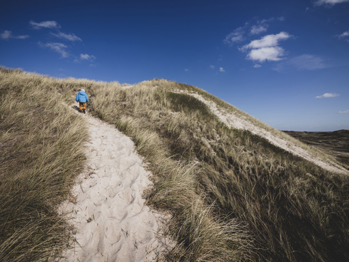 Kind in den Dünen von Bjerregård bei Hvide Sande
