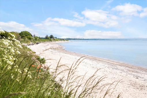 Oddermose Strand in Mön
