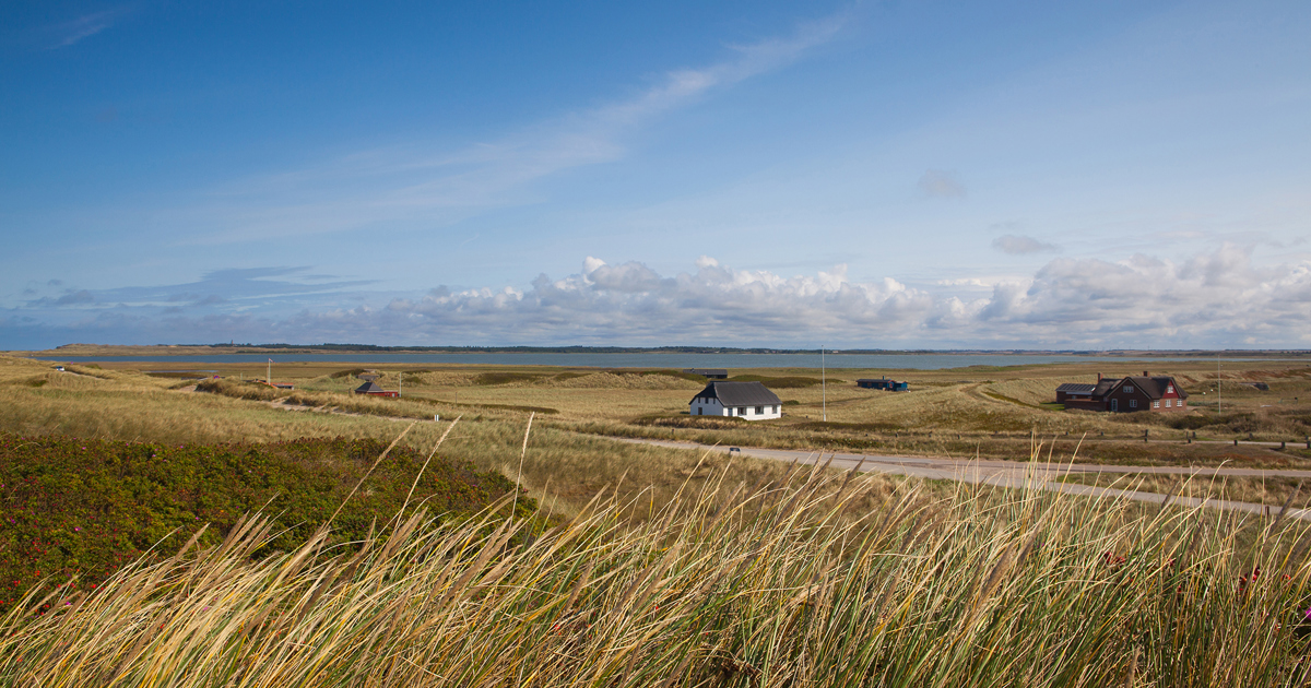 Miete Ferienhaus Agger in Dänemark nah am Strand