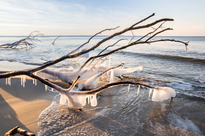 Godt nytår aus Dänemark