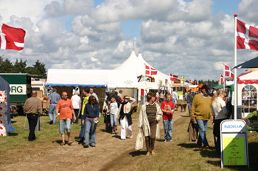 Der Flohmarkt "Schafmark" in Ho