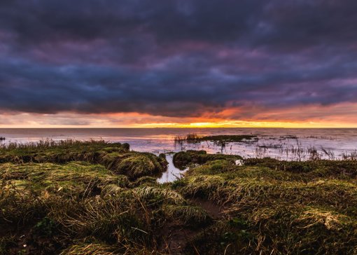 Die Marschinsel Mandø liegt mitten im Nationalpark Wattenmeer und hat den Status eines Wild- und Naturreservates.