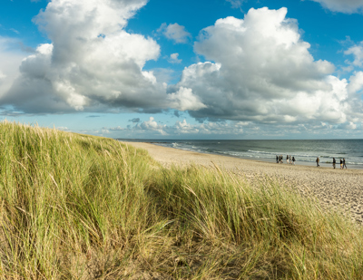 Frühsommer in Dänemark