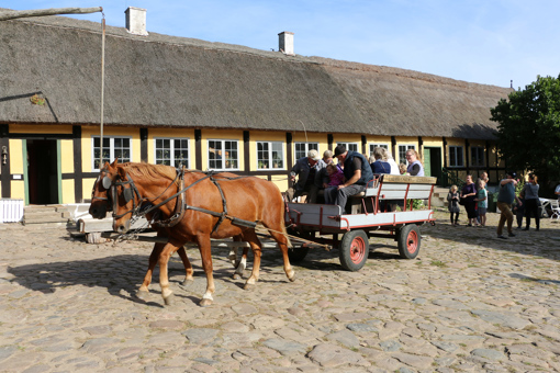 Kutschfahrt auf dem Gelände des Museumsbauerhofs Melstedgård