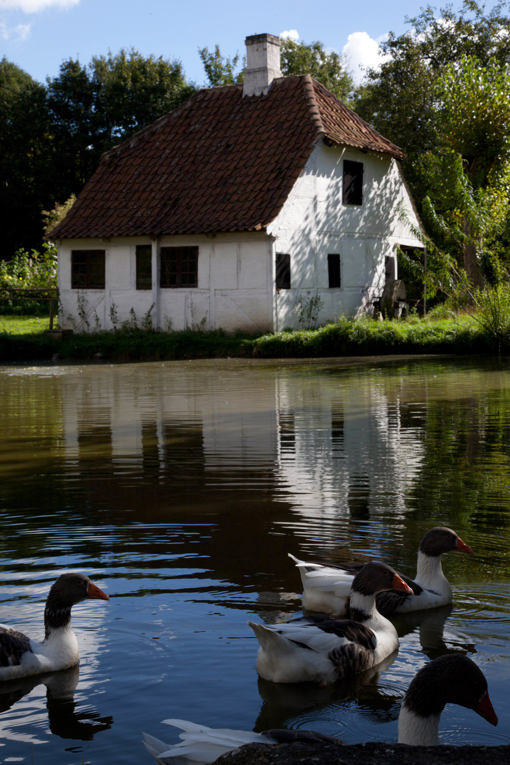 Ententeich im Fünischem Dorf
