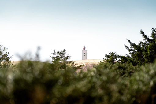 Rubjerg Knude