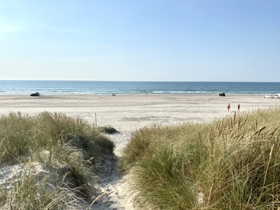 Der Sommer steht in den Startlöchern