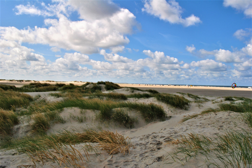 Dünenlandschaft auf Rømø