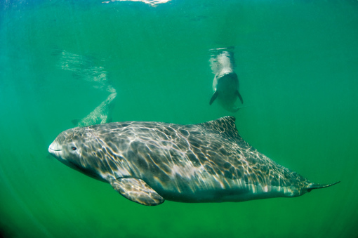 Erlebniszentrum Fjord & Bælt