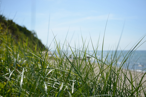 Dünengras, blauer Himmel und Meer am Sandstrand in der Bucht von Sose