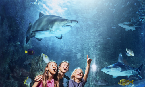 Kinder im Kattegatcentret