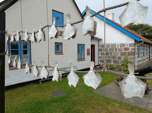 Hirtshals Museum