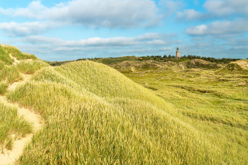 Lodbjerg Fyr vom Nationalpark Thy aus betrachtet