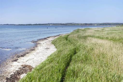 An der Küste des Isefjords