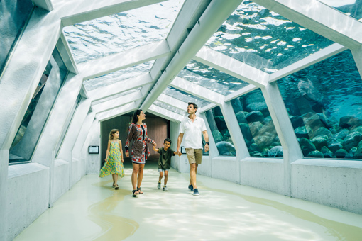 Unterwassertunnel im Nordsee-Ozeanarium in Hirtshals