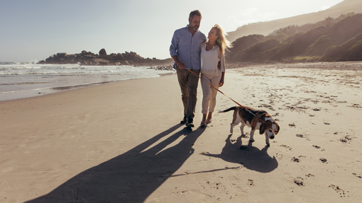 Mit dem Hund am Strand und Meer spazieren gehen