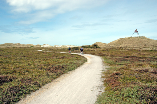 Skodbjerge