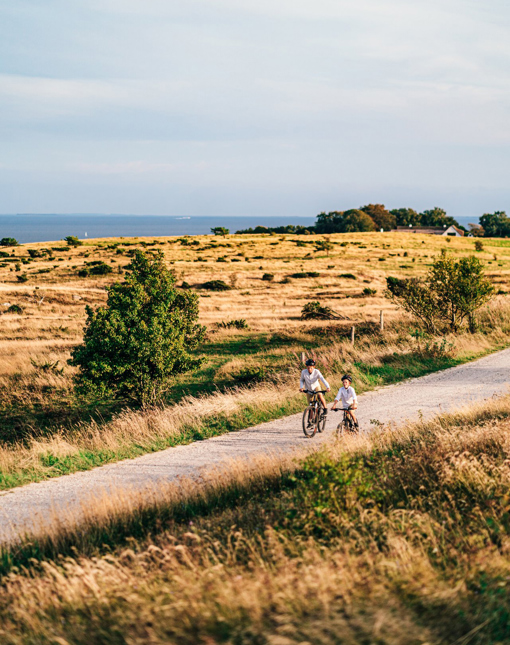 Trehøje  im Nationalpark Mols Bjerge auf Djursland  mit Blick auf das Meer zwischen Dänemark und Schweden.