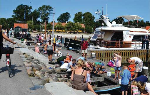 Am Rørvig Hafen
