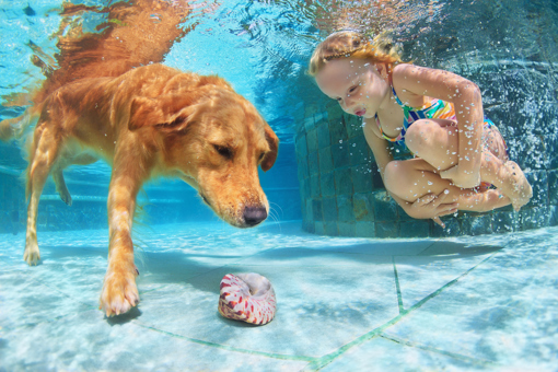Mädchen und Hund im Pool