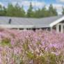 Ferienhaus Dänemark Last-Minute