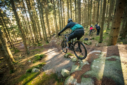 Ein Mountainbiker springt über Felsen im Wald auf Bornholm
