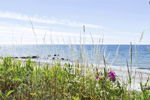 Am Råbylille Strand auf Møn