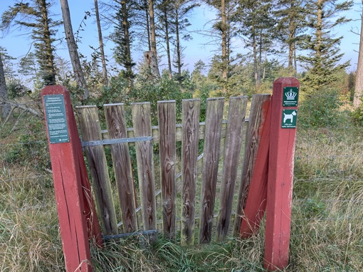 Eingang Hundewald
