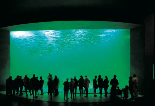 Nordsee Ozeanarium in Hirtshals
