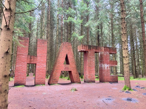 Deep Forest Art Land