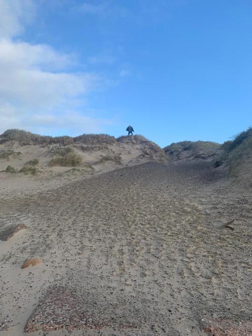 Dünen in Thorsminde