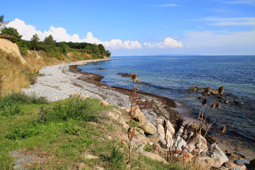 Ostseeküste am Fanefjord
