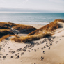 Ringkøbing Fjord Museen