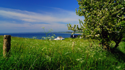 Jernhatten - Das Naturschutzgebiet ist 49 m hoch und bietet einen weiten Blick auf die Ostsee bis hin zur Insel Hjelm.