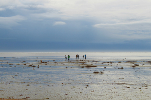 Wattenmeer vor Fanø