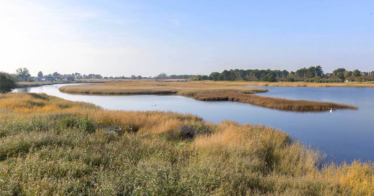 Enø ᐅ Ferienhäuser auf Enø für den Urlaub in Dänemark