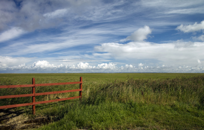 Natur, Kunst und gutes Essen