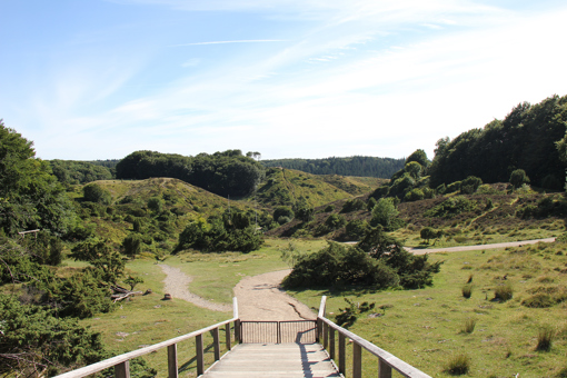 Naturschutzpark Rebild Bakker