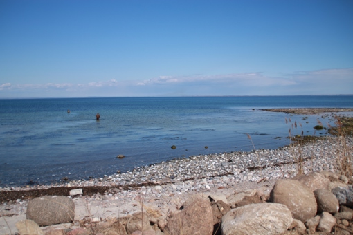 Meerforellenangler im Frühjahr bei Hummelvig in Dänemark 