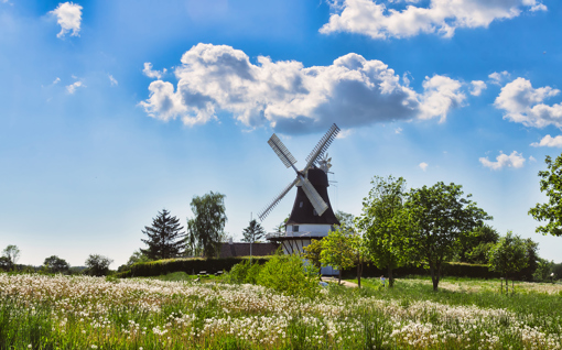 Windmühle in Egeskov, Fyn