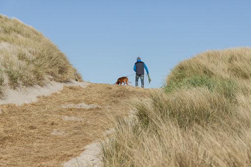 Mit dem Hund im Dänemark-Urlaub auf Møn