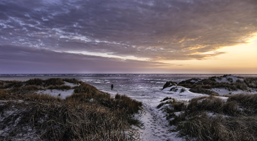 An der Nordsee von Fanö