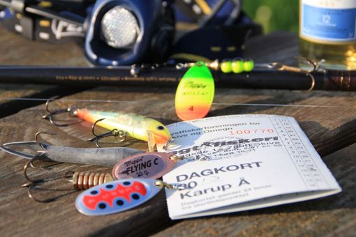 Angelschein-Tageskarte