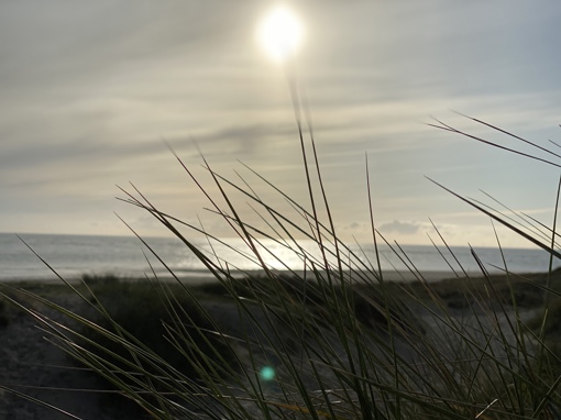 Nordseeküste Dänemark