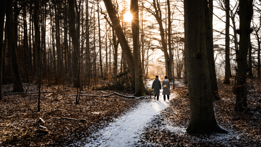 Magische Winterstimmung auf der Martin Andersen Nexø Dichterroute