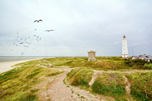 Blaavand Nordseeküste mit Leuchtturm Blavandshuk und Bunker