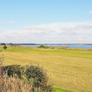 Ferienhäuser in Strandet