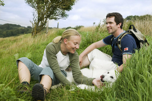 Urlaub mit Hund auf Bornholm