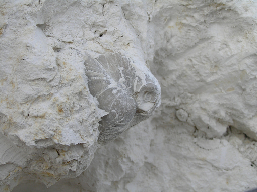 Geocenter Møns Klint