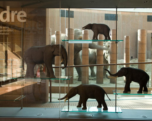 Elefantenhaus, Kopenhagener Zoo